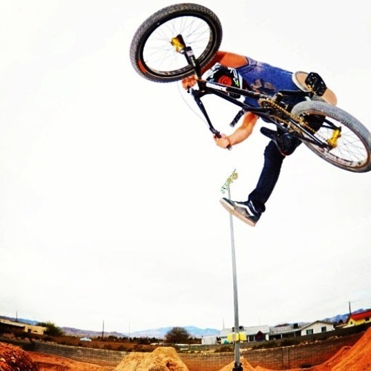 T.J. Lavin